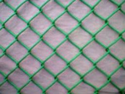 ���ٽz�W(w��ng)