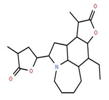 ���~�ٲ��A