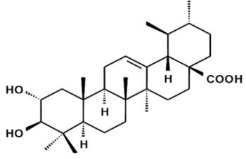 ���_����