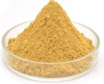 �����~������