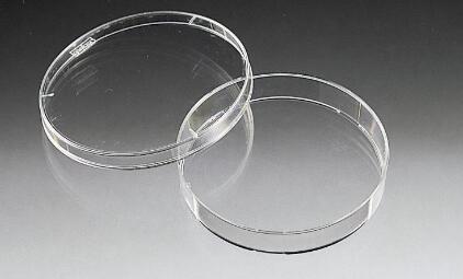 ���B(y��ng)��