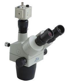 ��W(xu��)�x��