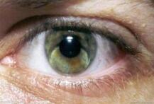 �[�����R