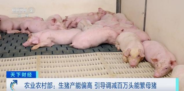 �°�������괺��(ji��)�����i���ڌ����@���࣬�i�r(ji��)�����½�