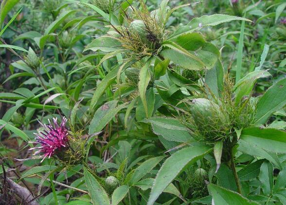 ���g(sh��)