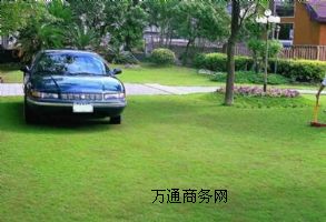 廣州杰袖高品質(zhì)植草格