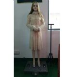 ������jldsw103�̄���Ůӭ�e�C����