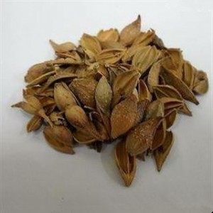 �S�ҬF؛���� �B�N��ȡ��