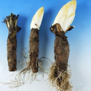 �F(xi��n)؛����(y��ng) ���� ���ĸ���ȡ�� �շ�