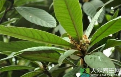 ���������~��ȡ��   �����ܹ�������(zh��n)����̵Ч��