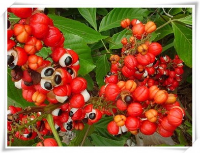 �S�ҹ��������c����������ʳƷ�� ���ü{��ȡ��