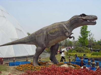 ����(y��ng)����ģ�ͷ�������������ģ���������Ϳ���չ