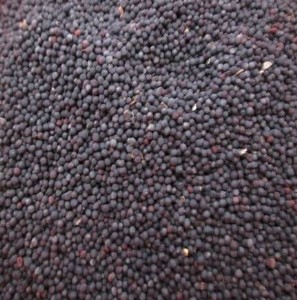 ���̓r���۬F؛�Ͳ���