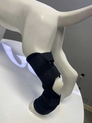 ��(d��ng)���p��(ji��)�o(h��)ϥ