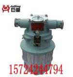 DGS13/127Y�ɹ����13W�����ɹ����13W�A�Οɹ�