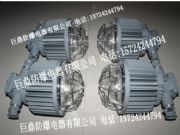 �V��LED�����DGS50/127L �A�������