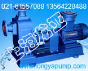 250CYZ-50����ʽ���������sˮѭ�h��