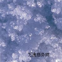 �����ă�(y��u)��������