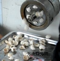 �����g���_��C�����e������C�������ͨ�ķۙC��������ʳ�C