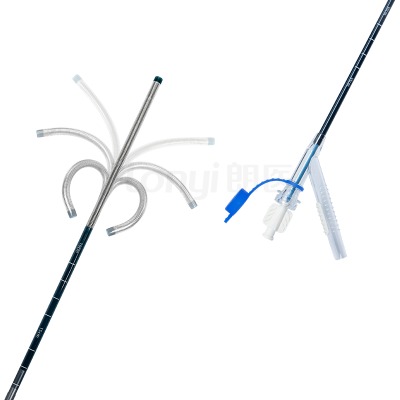 ؓ���f������ / ���{���ʹ�