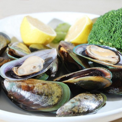 ��ؐ�M�ھ�����p��