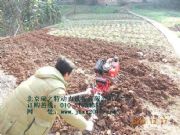 ΢���C�N�� ΢���Cʹ�� ΢���C�����X