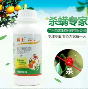 ���Ը��ټt֩���y�p���њ������t֩�뚢�������s������ʿ������