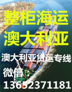 �����\�Ĵ�����Ϥ���p�嵽�T���� �Ĵ��������\�T���T����