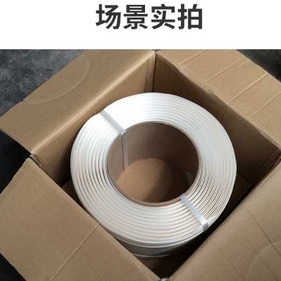 �W���S�����l�w�S�������������Ҏ��