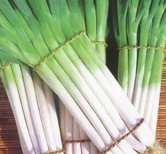 �|ݸ��ʳ�óа��߈��(zh��n)�߲����ͼZ�̓����߲����l(f��)��˾