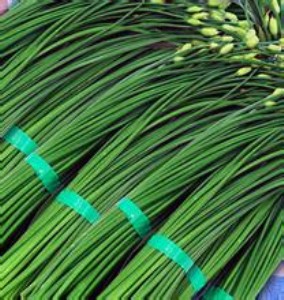 �|ݸ��ʳ�óа������(zh��n)�߲����ͼZ�̓����߲����l(f��)��˾