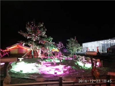 ��ѩ�������ѩ�����˹���ѩ�C