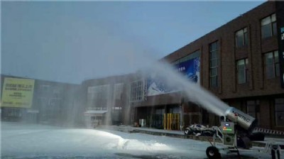 ��ѩ���˹���ѩ�C �ߜ���ѩ�C��������