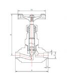 ���P䓳в庸����y