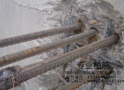 �����Ќ��I(y��)ֲ��ӹ̹��̳н��O(sh��)�䌣�I(y��)�r�񹫵�