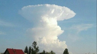 ����Ȼ�ġ�Ģ���ơ�-�Ϸ�չ�[��˾