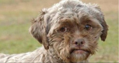 ���L��̫���˶�����������ʩȮ-�Ϸ�չ�[��˾