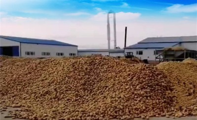 ���ۚ�������C����