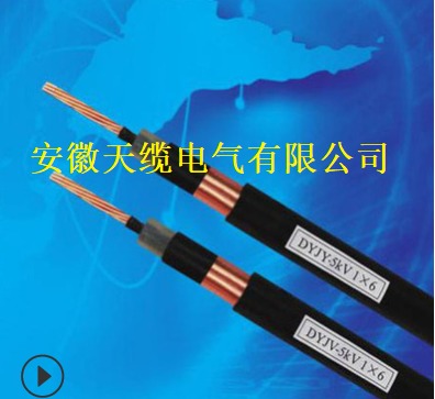 �����|Ʒ��dyjy-6kv-1*6���П�����|