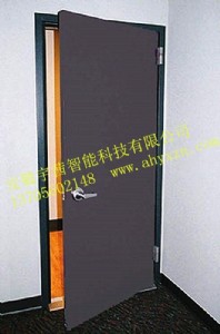 ���������T�������T�S��