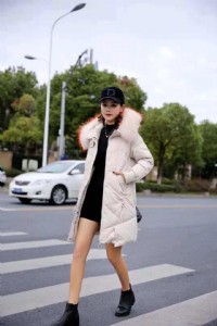 �Z��18���������W�tͬ����q��ʯ���\�|�߷�β؛���l