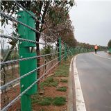 ��һ�Ҍ��I�u���^·���|���o�ڵČ��w�S��