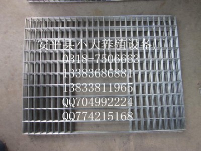 ������؂�\ �ѻ\ �N�\���\���B�\���B�\���B�\ ��ֳ�\ ���r�\