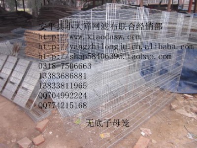 ����(y��ng)���ӻ\���B(y��ng)ֳ�ˮ��������ʳ��������ˮ�������Ӯa(ch��n)��