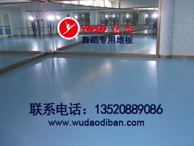 �赸���z�S��,pvc�赸�ذ尲�b,�o�����赸���z�r�񡾈D��