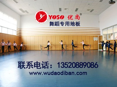 �o�����赸�ذ�:�M����ӵ��z,���I��pvc���|�赸�ذ�,��Ӗ