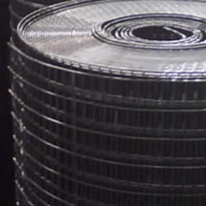 �����ڽz늺��W