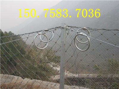 rx-075���ӾW,rx-075�ͱ��ӷ��o�W����ֱ�N