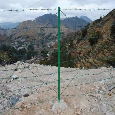 �ӱ����\���K�S�ҹ������l˽��Ժ����K���x�W�Q�ھGƤ���K