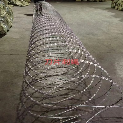 �ӱ���Ƭ���K�S�ҹ���(y��ng)ɽ�|�������������o(h��)��(j��)�Ͽ��������o(h��)�W(w��ng)